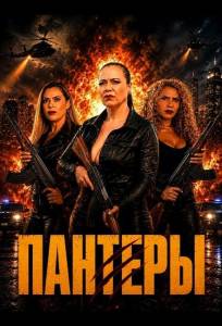 Пантеры (фильм 2025)
